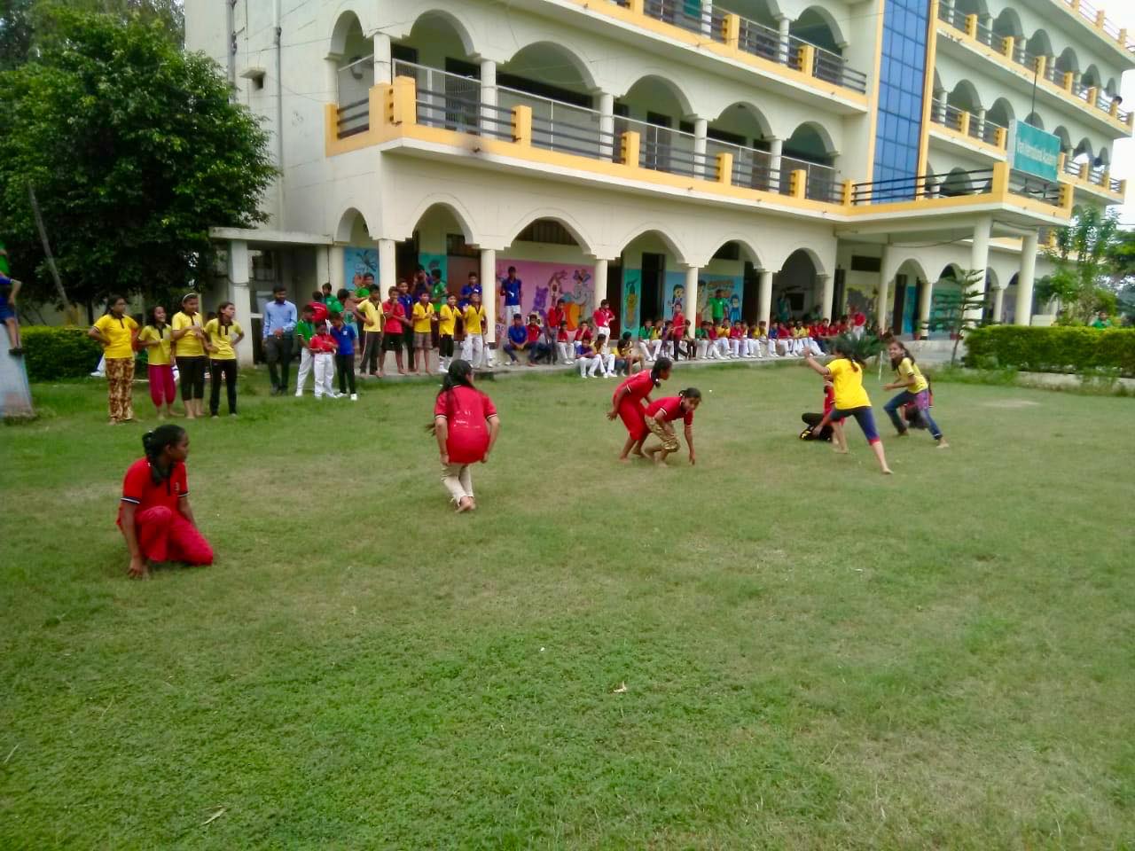Image 5